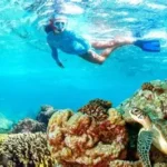 Gallery Thumbnail 10