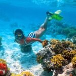 Gallery Thumbnail 11