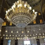 Gallery Thumbnail 11