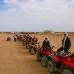 Gallery Thumbnail 11